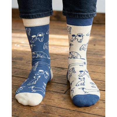 Men's Dogs Charity Socks | Friday Sock Co. | boogie + birdie