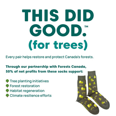 Men's Trees Charity Socks | Friday Sock Co. | boogie + birdie