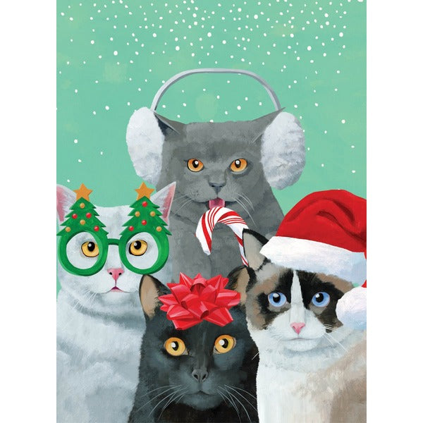 Meowy Catmas Pals Christmas Card (1319) | Holiday Cards | boogie + birdie