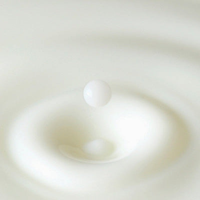 Milk Bar Soap | Pre de Provence | boogie + birdie