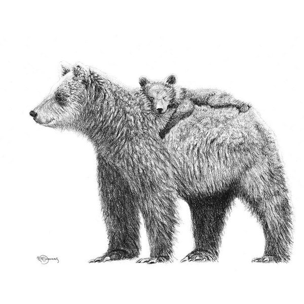 Grizzly Bear With Cub 8x10 Print | Le Nid Atelier | boogie + birdie