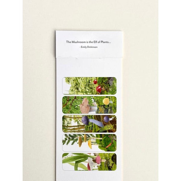 Mushroom Cove Bookmarks - Set of 5