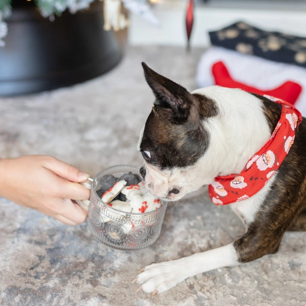 Nice Bites vs Naughty Nibbles Christmas Dog Treats | Pets | boogie + birdie