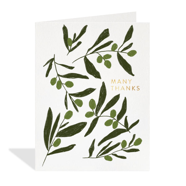 Olive Leaf Thank You Card | Greeting Cards | boogie + birdie