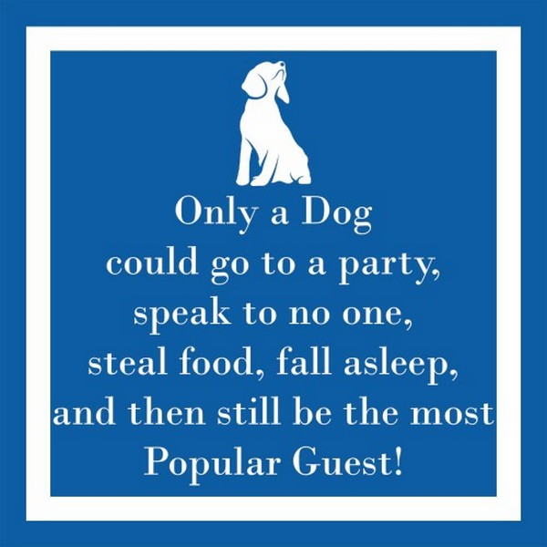 Only A Dog beverage Napkin | PPD | boogie + birdie


