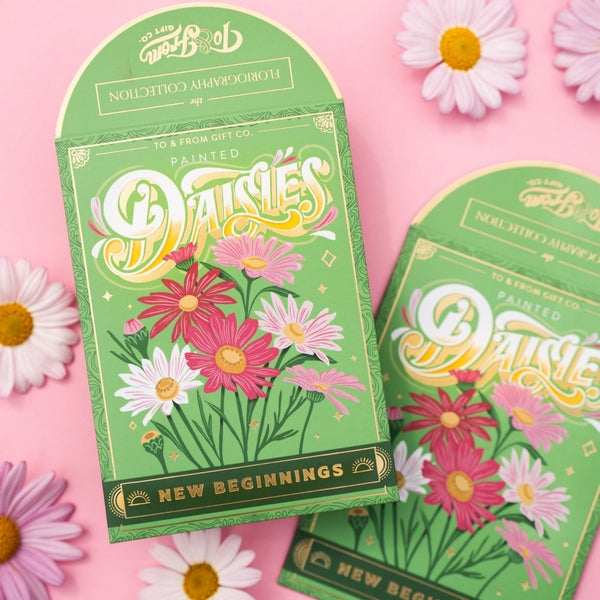 Painted Daisies Seed Packet | To & Fro Gifts | boogie + birdie