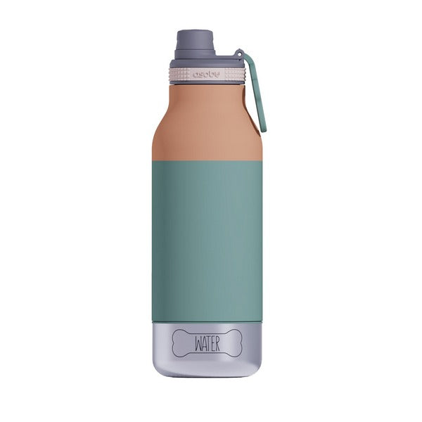 Pastel Green Buddy Water Bottle | asobu Bottles | boogie + birdie


