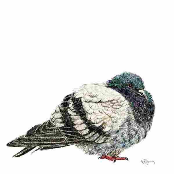 Pigeon Print 8x10 | Le Nid Atelier | boogie + birdie