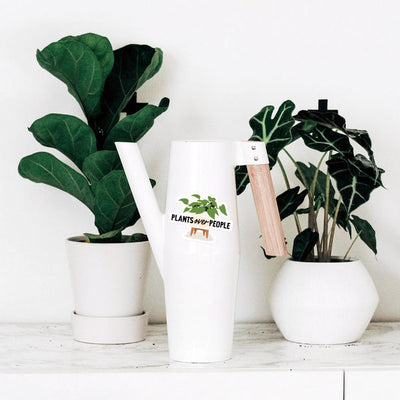 Plants Over People Vinyl Sticker | I'll Know It When I See It | boogie + birdie