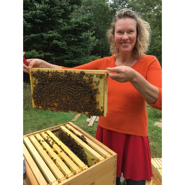 Pollinator Pillowcase Painting Kit | Artburn | boogie + birdie