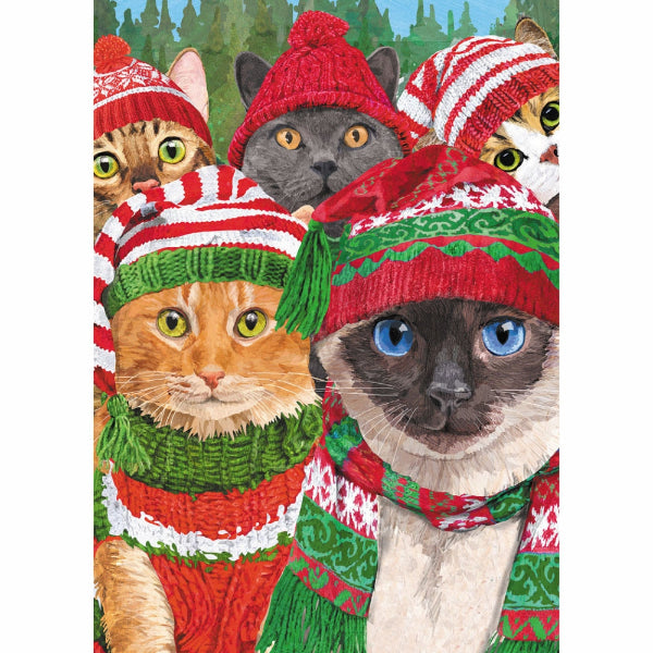 Cat Selfie Christmas Card | Allport | boogie + birdie 