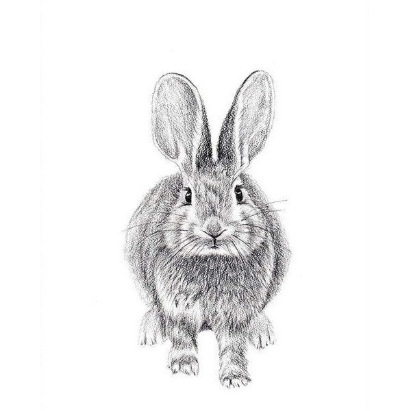 Rabbit | Set of Two Prints | Le Nid Atelier | boogie + birdie