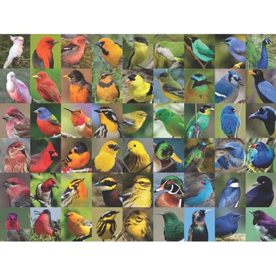 Rainbow of Birds 1000 Piece Puzzle