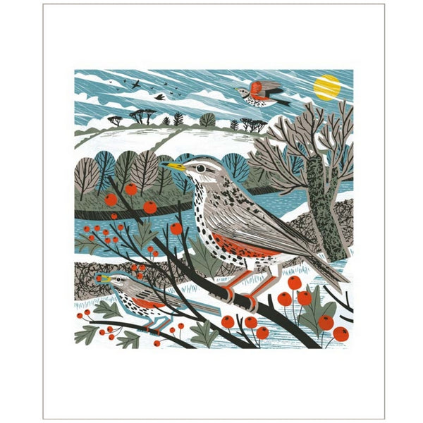 Redwing Haws Christmas Card  | Art Angels | boogie + birdie