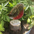 Glass Robin Chick Perched Decor - The Glass Bakery - boogie + birdie