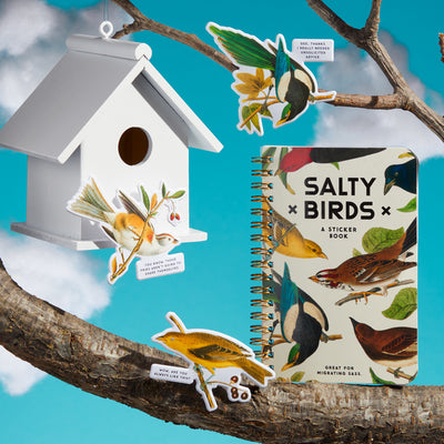 Salty Birds Sticker Book | Raincoast | boogie + birdie
