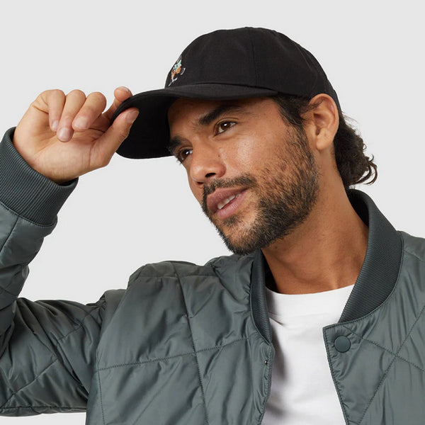 Meteorite Black Sasquatch Hockey Peak Hat | tentree | boogie + birdie