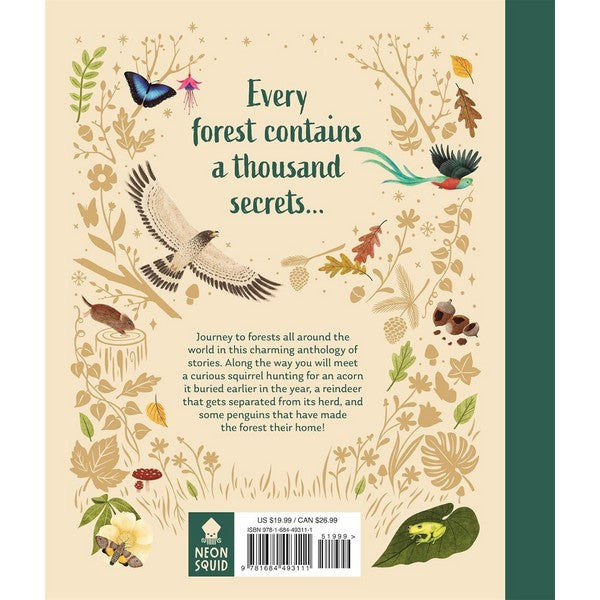 Secrets of the Forest Book | Bedtime Stories | boogie + birdie