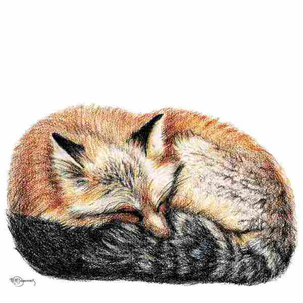 Sleeping Fox Print 8x10 | Le Nid Atelier | boogie + birdie