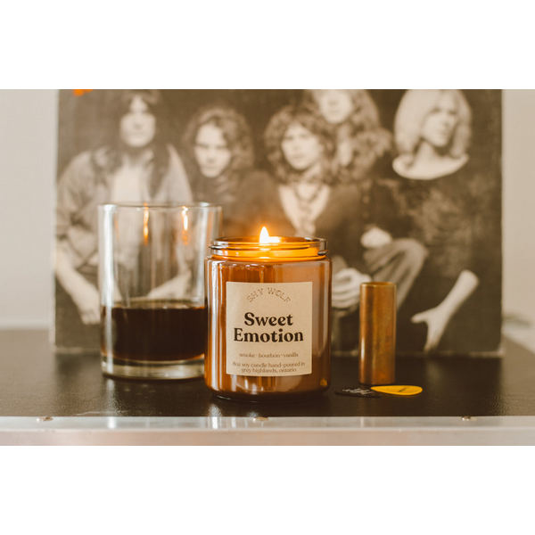 Sweet Emotion Vinyl Candle | Shy Wolf Candles | boogie + birdie