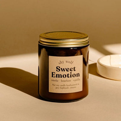 Sweet Emotion Vinyl Candle | Shy Wolf Candles | boogie + birdie