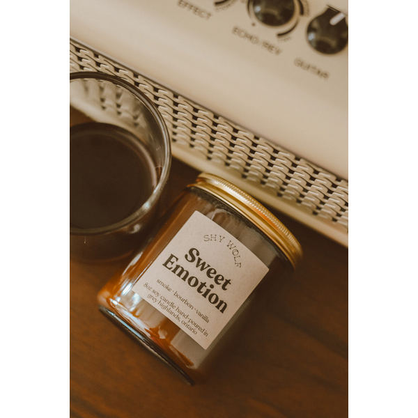 Sweet Emotion Vinyl Candle | Shy Wolf Candles | boogie + birdie