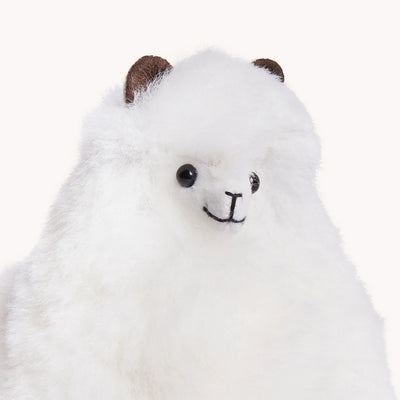 Medium White Alpaca Plush  | Pokoloko | boogie + birdie