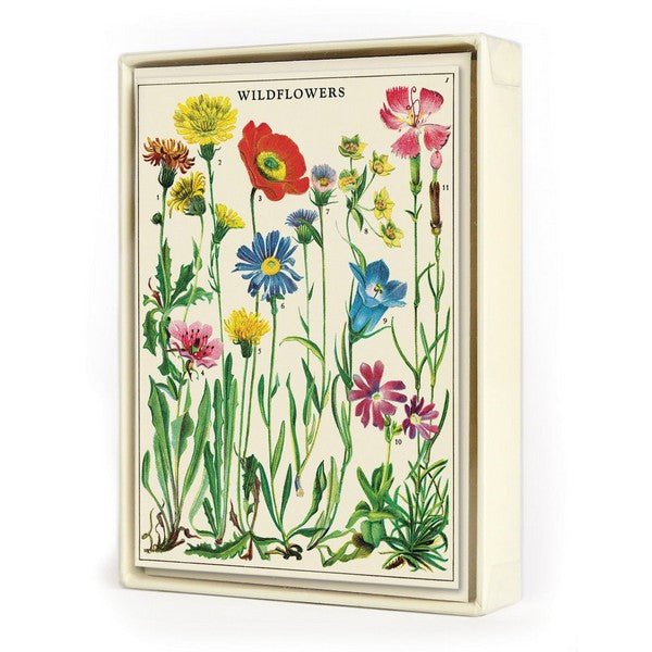 Wildflowers Boxed Notecards | Cavallini & Co. | boogie + birdie