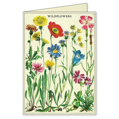 Wildflowers Boxed Notecards | Cavallini & Co. | boogie + birdie
