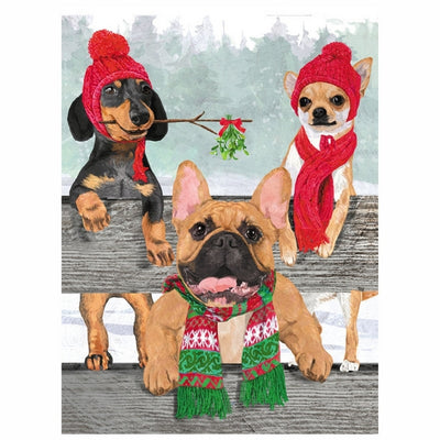Winter Woofs Christmas Card | Allport | boogie + birdie