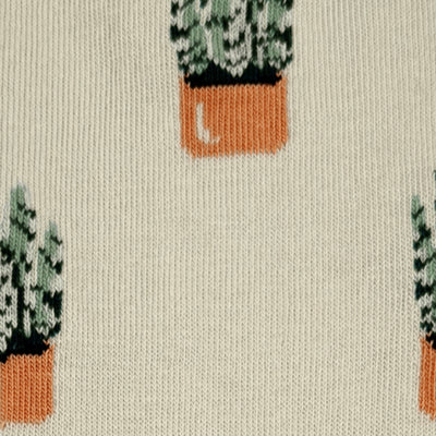 Women's Small House Plant Socks | Friday Sock Co. | boogie + birdie