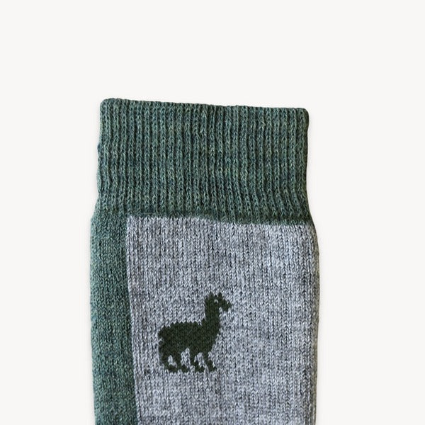 Woods Hiker Alpaca Socks | Pokoloko | boogie + birdie