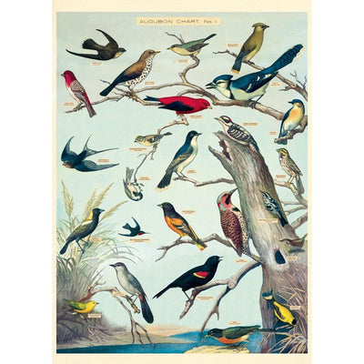 Bird Vintage Wrap Sheet / Poster | Cavallini Paper & Co. | Shop vintage styles and prints at boogie + birdie