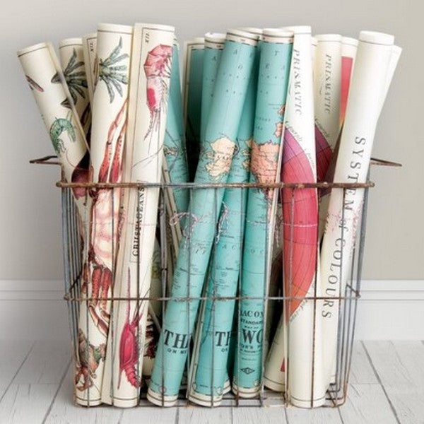 Bug Vintage Wrap Sheet / Poster | Cavallini Paper & Co. | Shop vintage styles and prints at boogie + birdie