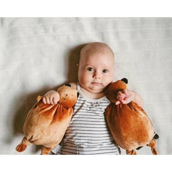 Baby Beaver Cuddly Plush | Shop baby at boogie + birdie