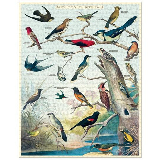 Audubon Birds 1000 Piece Puzzle | Cavallini Paper & Co. | Shop vintage styles and prints at boogie + birdie