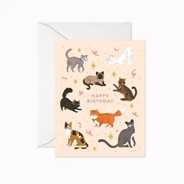 Cats Birthday Card | Shop cards at boogie + birdie in Ottawa.