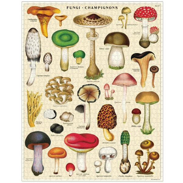 Mushrooms 1000 Piece Puzzle | Cavallini Paper & Co. | Shop vintage styles and prints at boogie + birdie