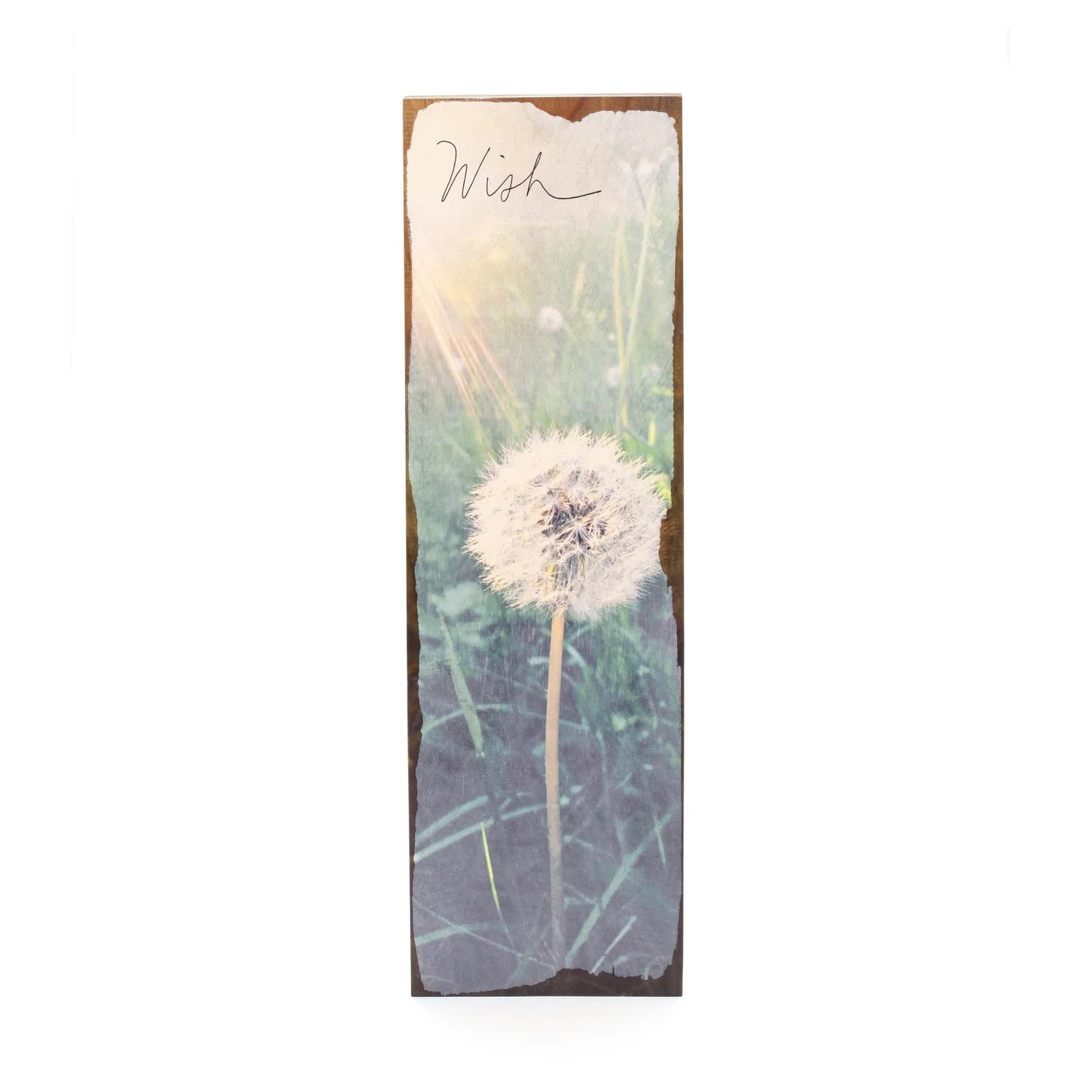 Dandelion Small Timber Art