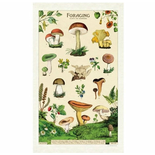 Foraging Tea Towel | Cavallini Paper & Co. | Shop vintage styles and prints at boogie + birdie