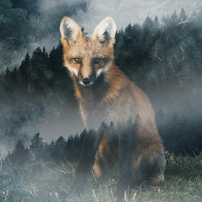 Forest Fox Marble Coaster
