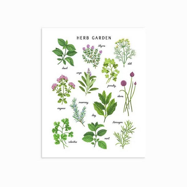 Herb Garden Print Light Background | Linden Paper Co. | boogie + birdie