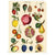Le Jardin Mini Notebooks Set | Cavallini Paper & Co. | Shop vintage styles and prints at boogie + birdie