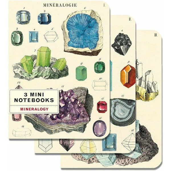 Mineralogy Mini Notebooks Set | Cavallini Paper & Co. | Shop vintage styles and prints at boogie + birdie