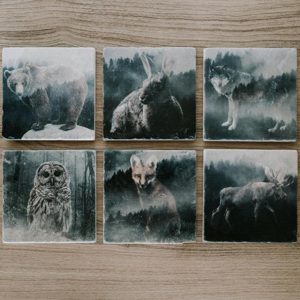 Forest Fox Marble Coaster