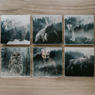 Forest Fox Marble Coaster