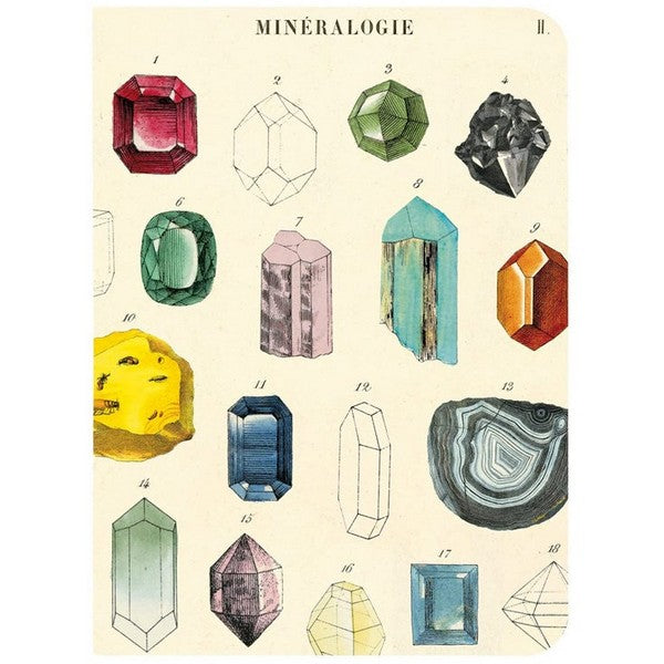 Mineralogy Mini Notebooks Set | Cavallini Paper & Co. | Shop vintage styles and prints at boogie + birdie