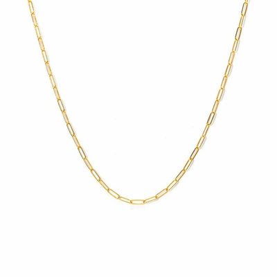 Gold-Filled Paperclip Chain Necklace | Shop Jewellery at boogie + birdie in Ottawa.