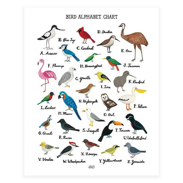 Bird Alphabet Chart Print