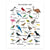 Bird Alphabet Chart Print | Lily Kao Design | boogie + birdie